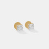 The Aura Rose Studs