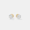 The Stellar Six-Prong Studs