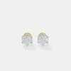 The Celestia Studs
