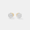 The Celestia Studs