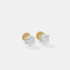 The Six-Prong Brilliant Studs