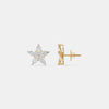 The Botanical Star Studs