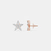 The Botanical Star Studs
