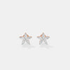 The Botanical Star Studs