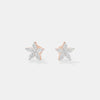 The Botanical Star Studs