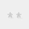 The Botanical Star Studs