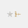 The Botanical Star Studs