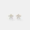 The Botanical Star Studs