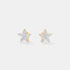 The Botanical Star Studs