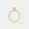 The Zenith Round Solitaire