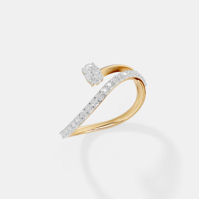 The Ellipse Serpentine Band
