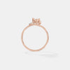 The Celestial Orbit Ring