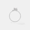 The Celestial Orbit Ring
