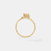 The Celestial Orbit Ring